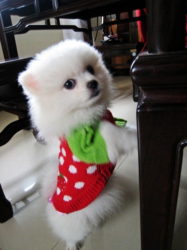 IMG_3510_conew1.JPG