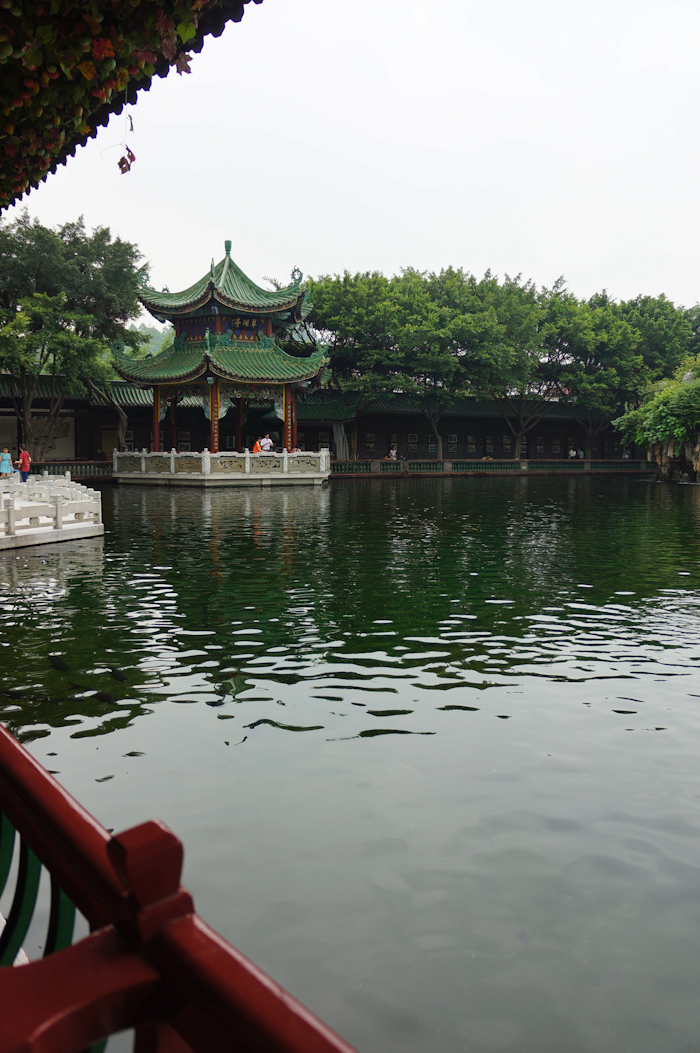 DSC02339.jpg
