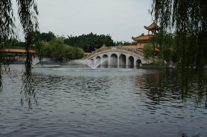 DSC02392.jpg