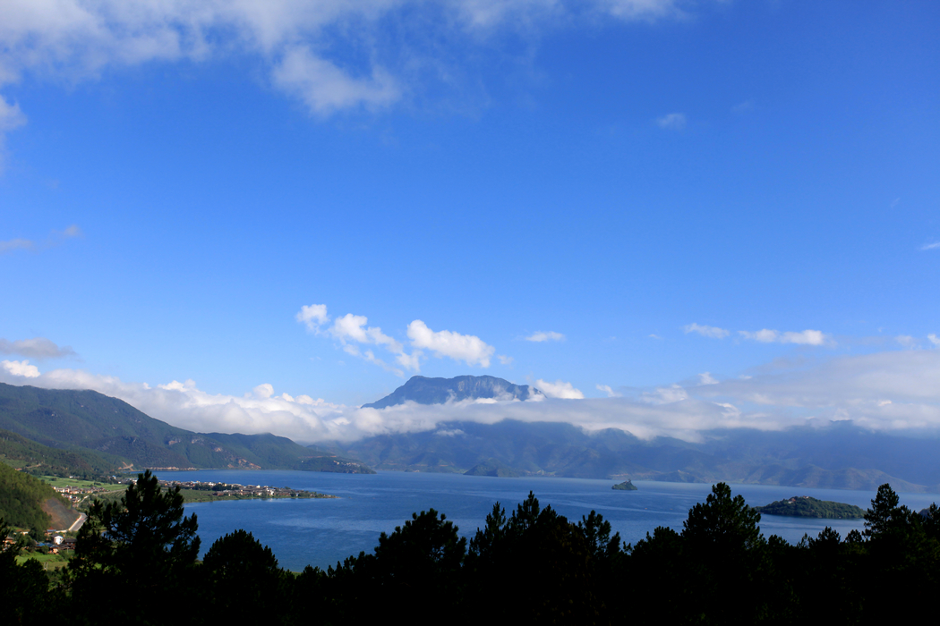 IMG_1172.jpg