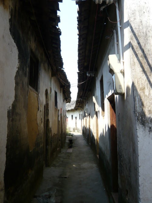 p1030117_conew1.jpg