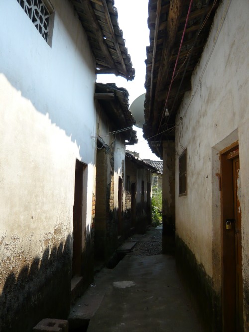 p1030116_conew1.jpg