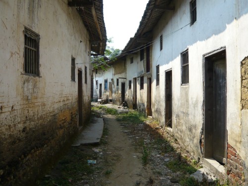 p1030162_conew1.jpg