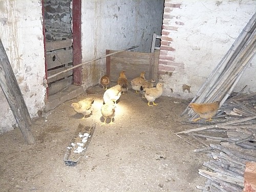 p1030170_conew1.jpg