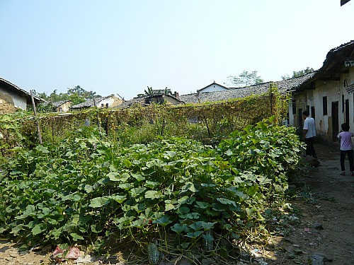 p1030171_conew1.jpg
