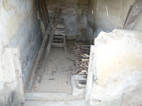 p1030173_conew1.jpg