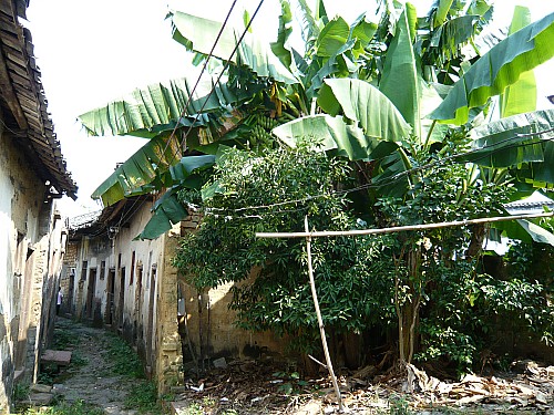 p1030180_conew1.jpg