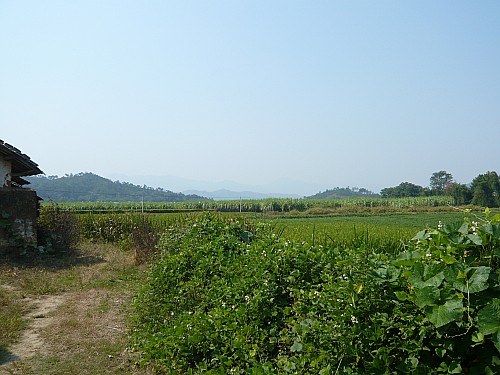 p1030160_conew1.jpg