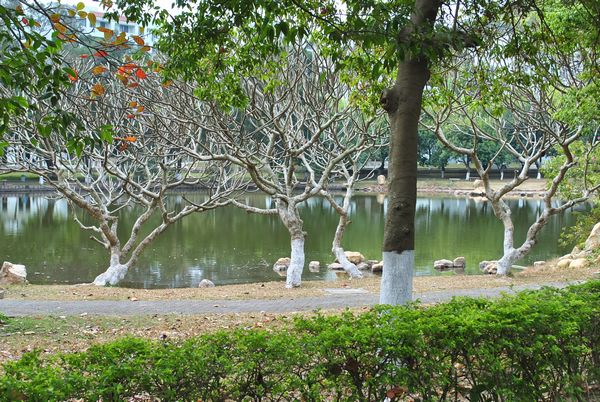 DSC_0611.jpg