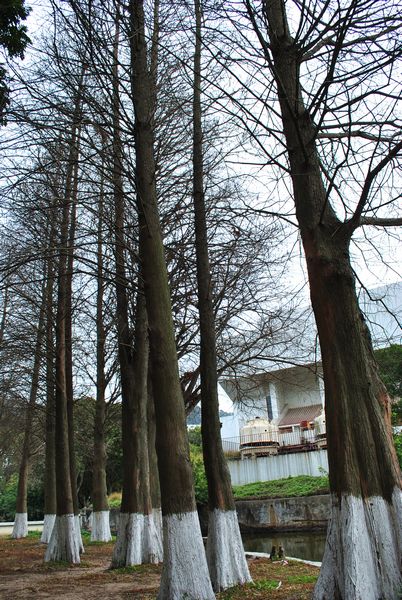 DSC_0625.jpg