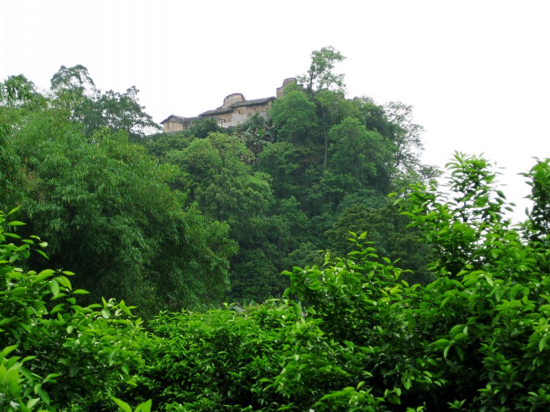 IMG_6129_conew1.jpg