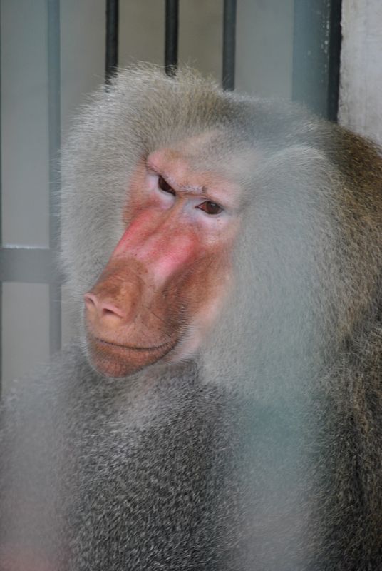 DSC_0996.jpg