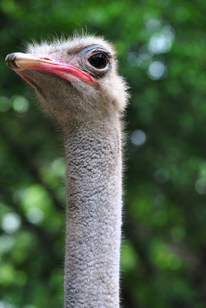 DSC_0972.jpg