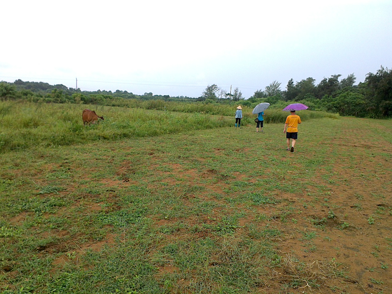 IMAG0990-114.jpg