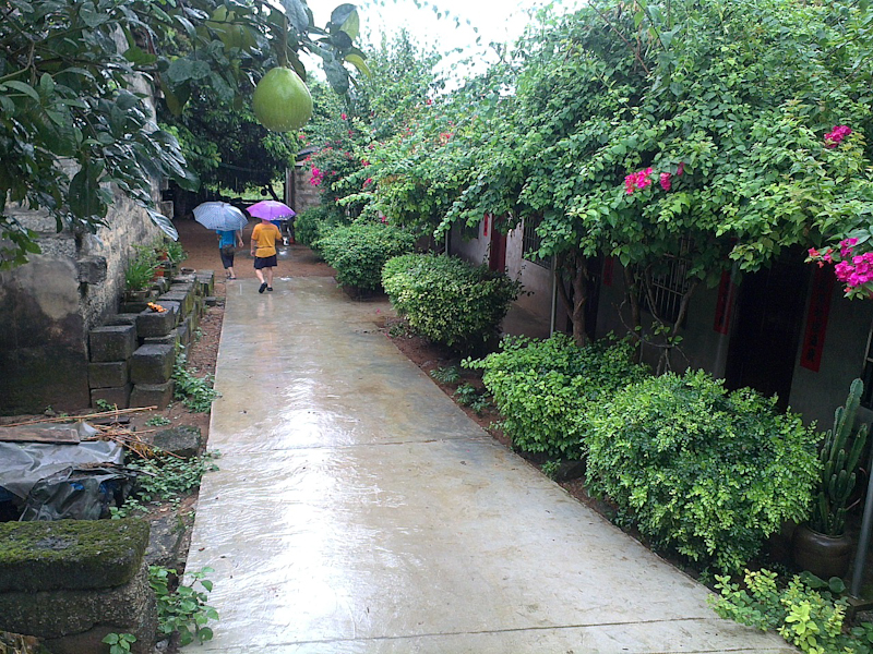 IMAG0989-113.jpg