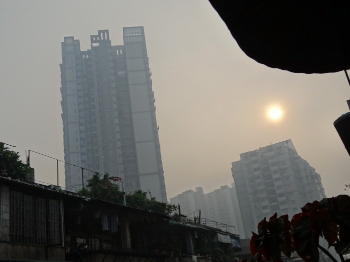 DSC00143_conew1.JPG