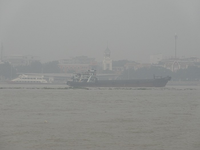 DSC00156_conew1.JPG