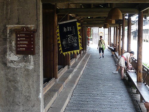 p1030486_conew1.jpg