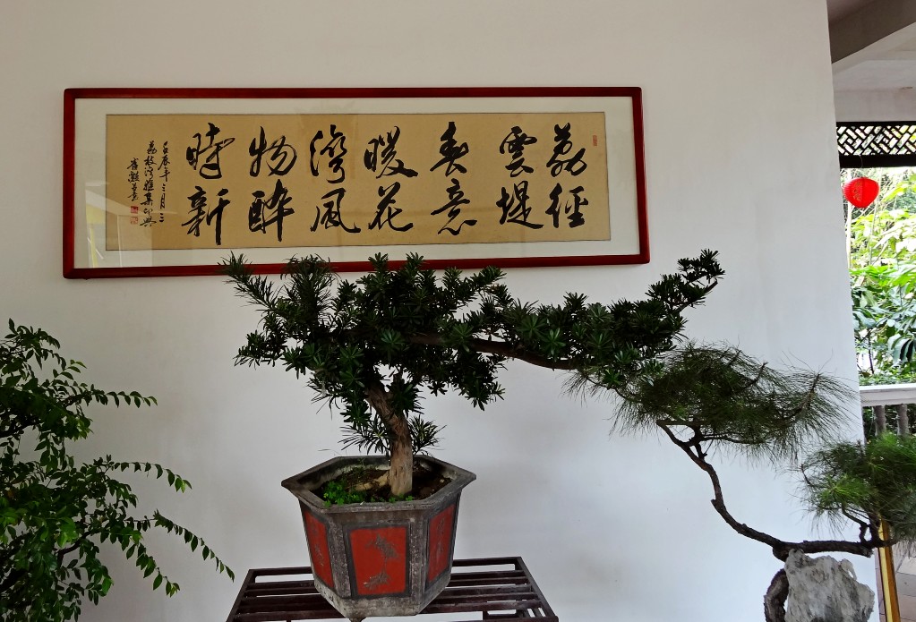 DSC05222_conew1.jpg