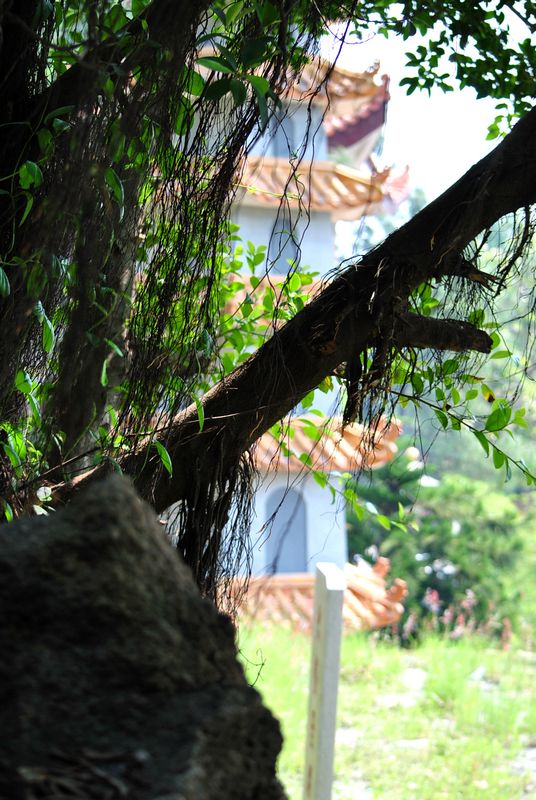 DSC_0970.jpg