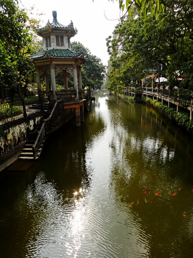 DSC04190_conew2.JPG