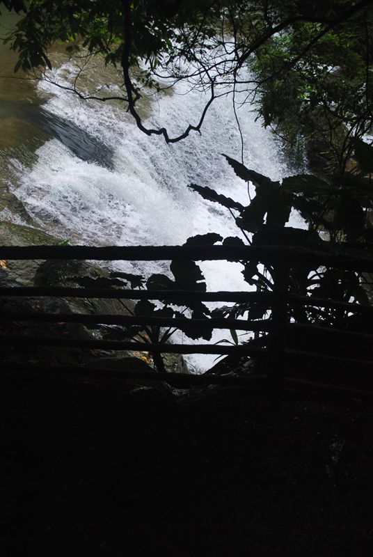 DSC_0626.jpg