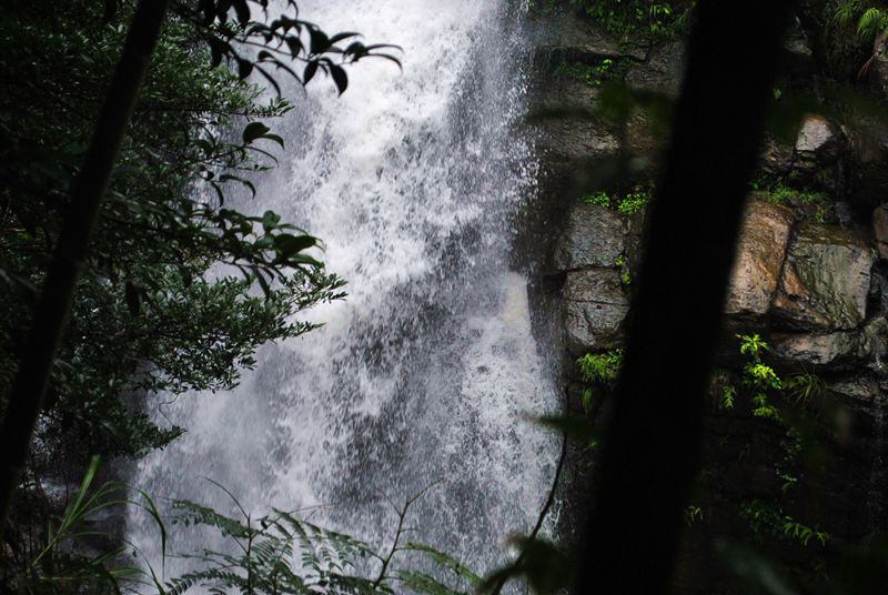 DSC_0629.jpg