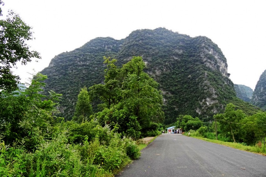 03 广西贺州钟山县"荷塘十里画廊"