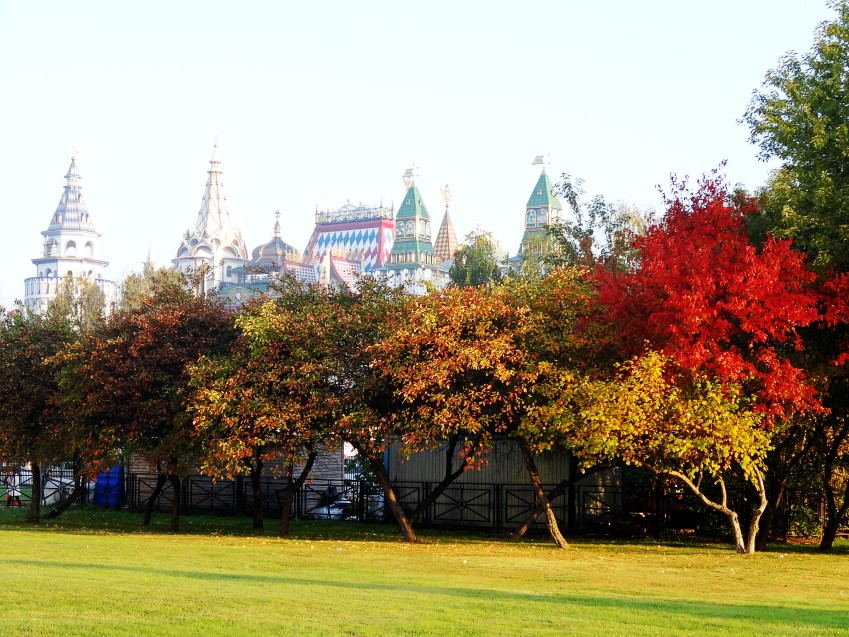 DSC00947_conew3.jpg