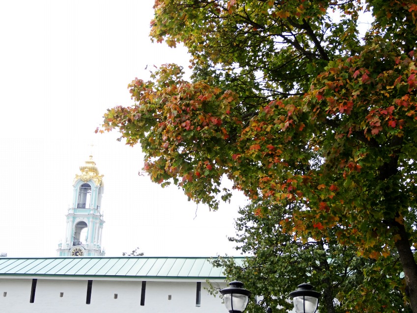 DSC00297_conew1.JPG