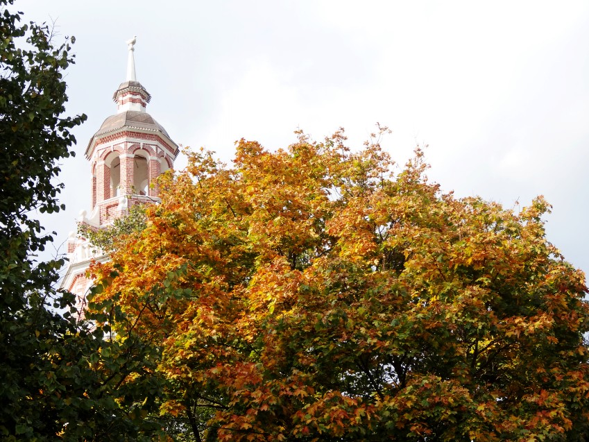 DSC00292_conew1.JPG