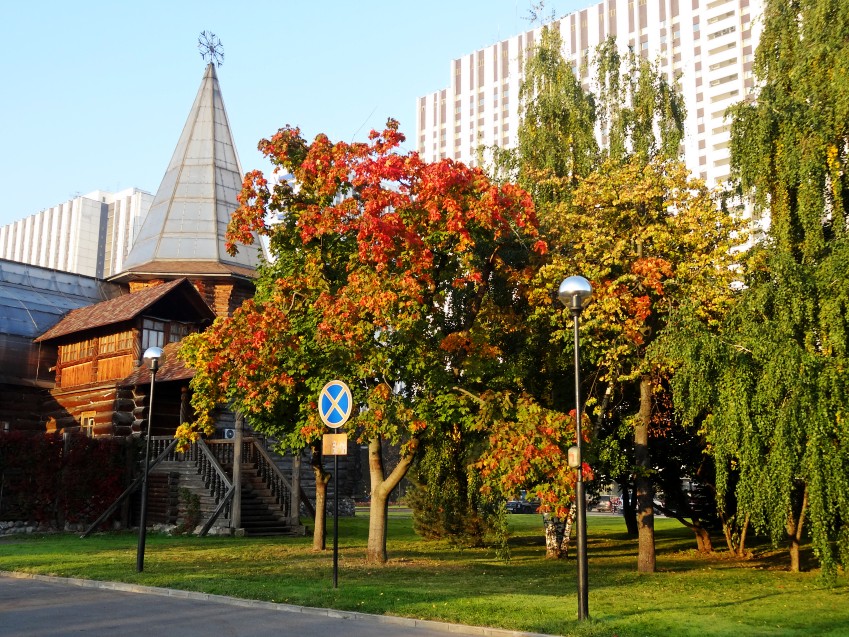 DSC00945_conew1.JPG