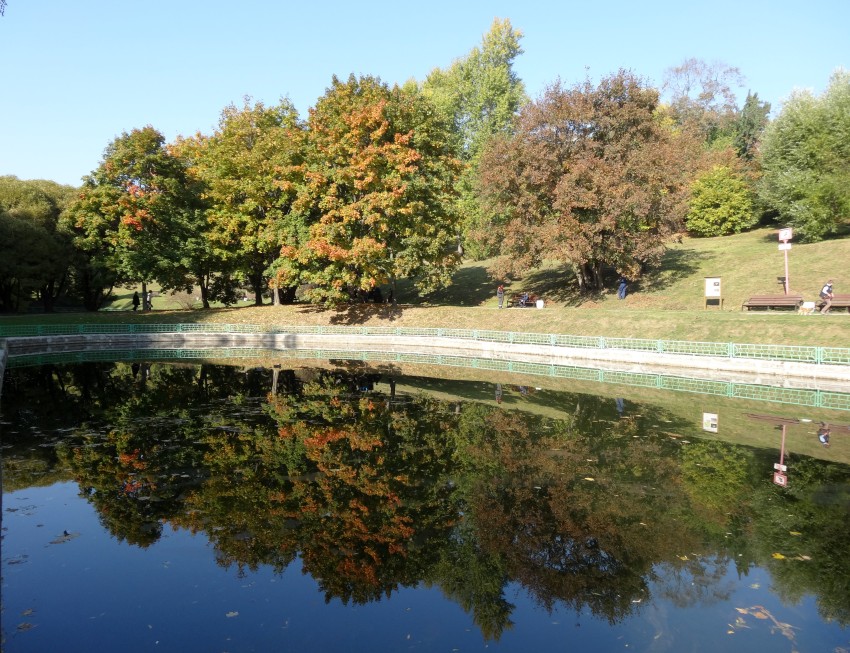 DSC01051_conew1.JPG