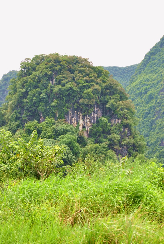 DSC_0281.jpg