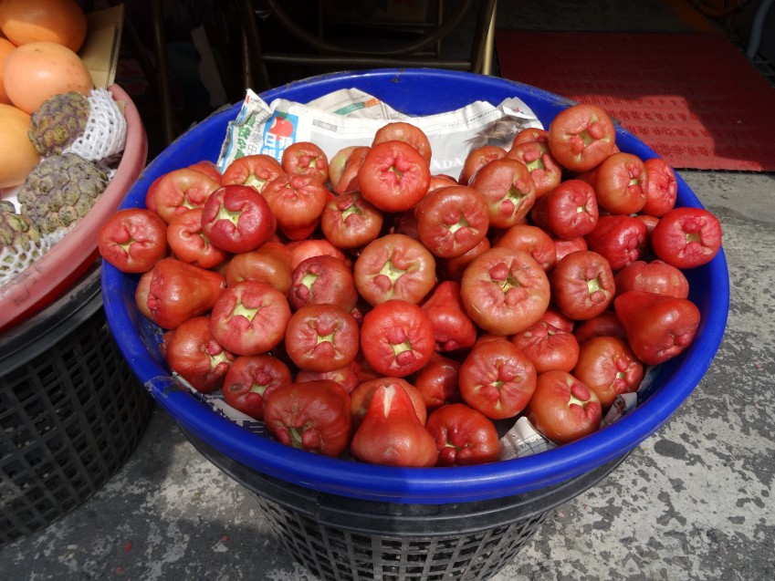 DSC01791_conew1.JPG