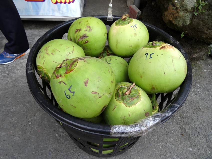DSC01792_conew1.JPG