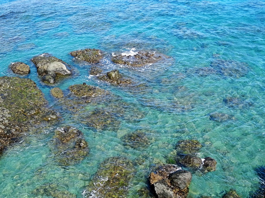 清澈见底的海水  (2).JPG