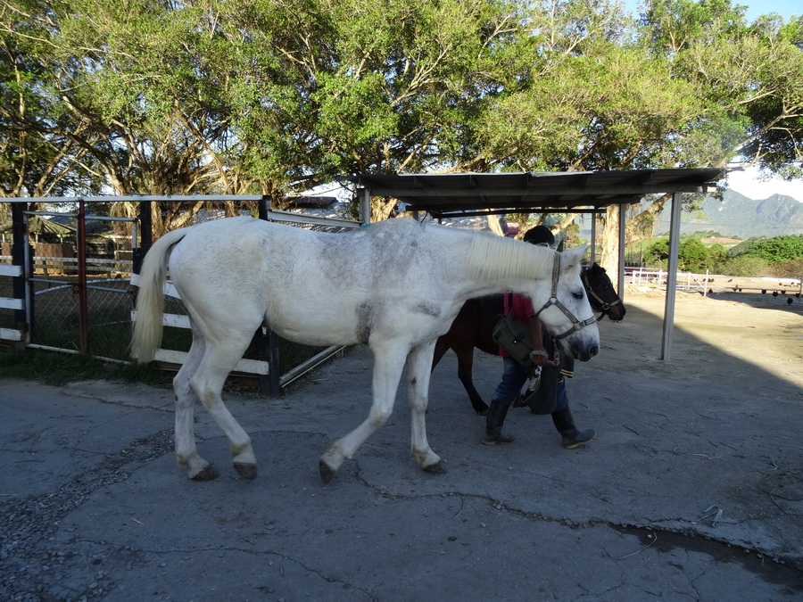 DSC02174_调整大小.JPG