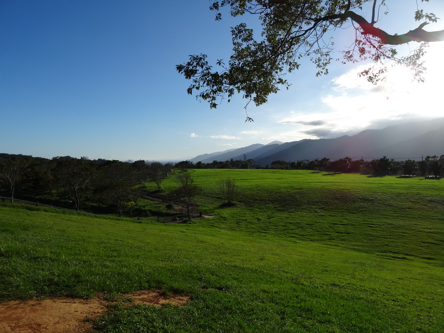 DSC02165_调整大小.JPG