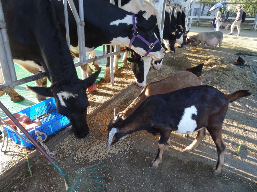 DSC02172_调整大小.JPG