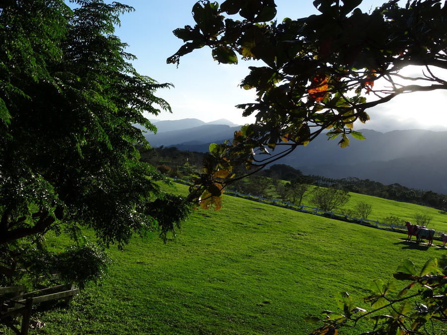 DSC02169_调整大小.JPG