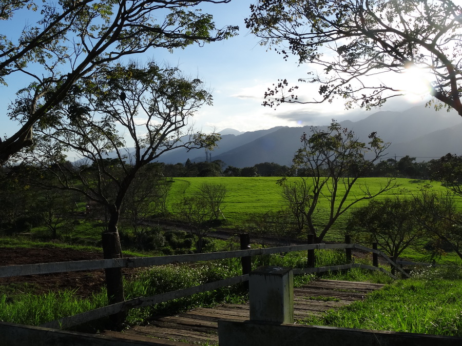 DSC02164_调整大小.JPG