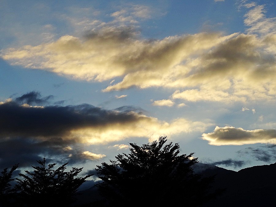 DSC02175_调整大小_conew1.jpg