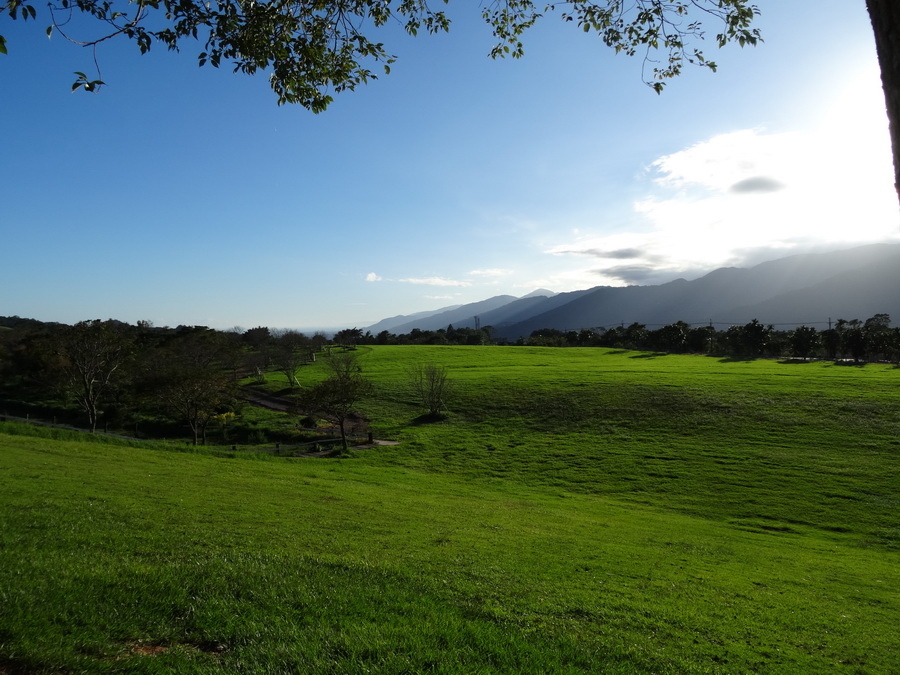 DSC02166_调整大小.JPG