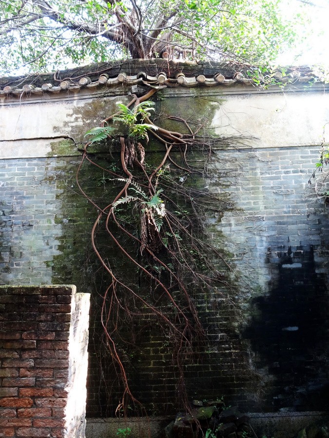DSC03014_调整大小_conew1.JPG
