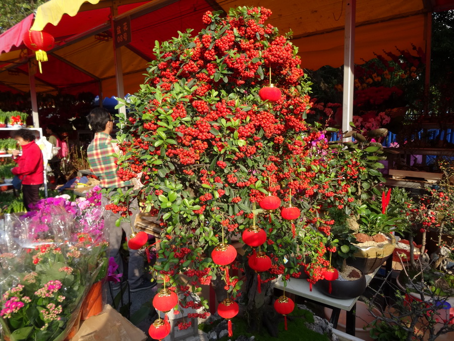 DSC03774_调整大小.JPG