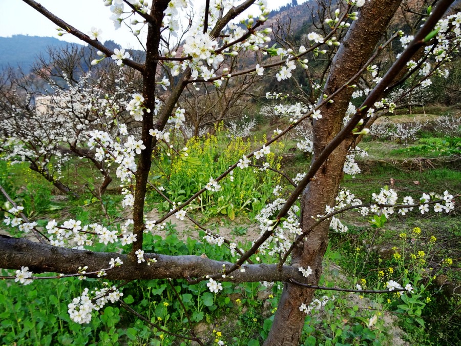 DSC04160_调整大小_conew1.JPG