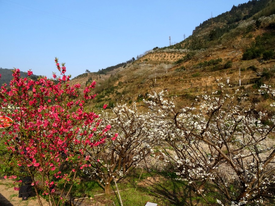 DSC04061_调整大小_conew1.JPG