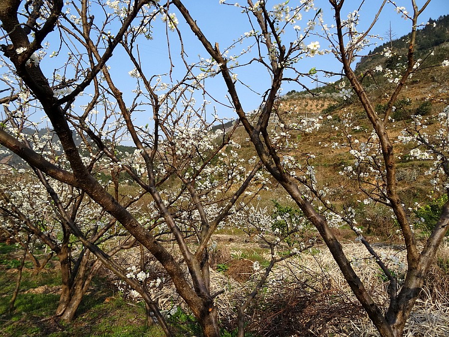 DSC04056_调整大小_conew1.JPG