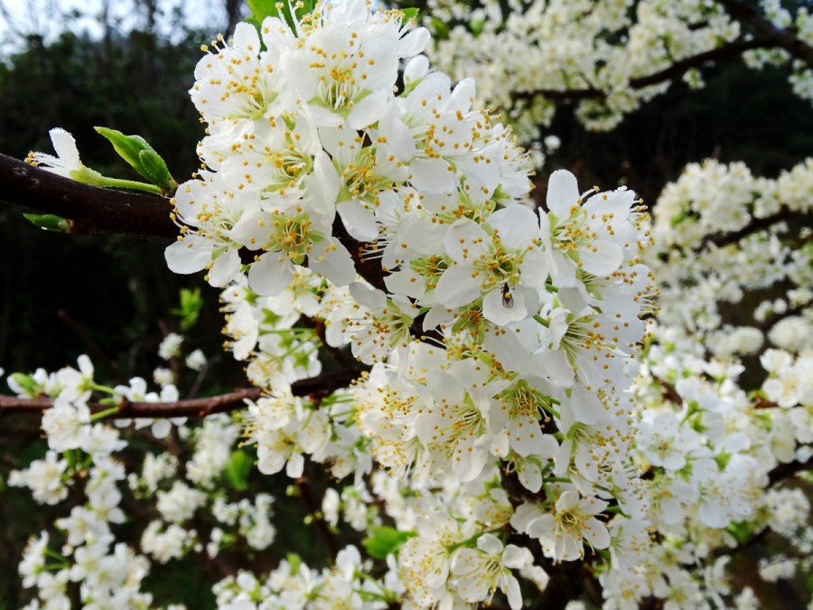 DSC04166_调整大小_conew1.JPG